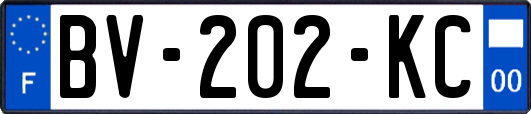 BV-202-KC