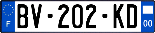 BV-202-KD