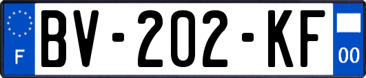 BV-202-KF