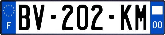 BV-202-KM