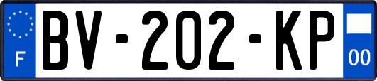 BV-202-KP