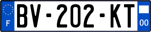 BV-202-KT