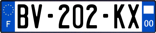 BV-202-KX