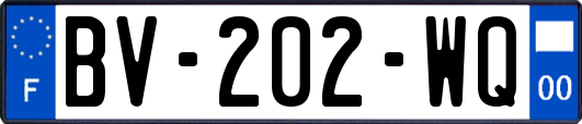 BV-202-WQ