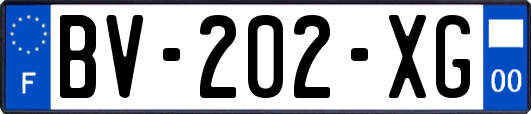 BV-202-XG