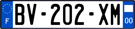 BV-202-XM