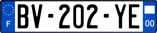 BV-202-YE