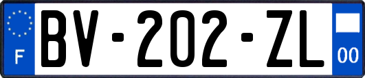 BV-202-ZL