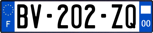 BV-202-ZQ