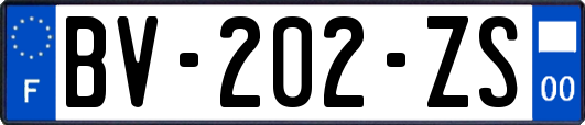 BV-202-ZS