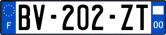 BV-202-ZT