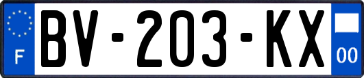 BV-203-KX