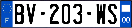 BV-203-WS