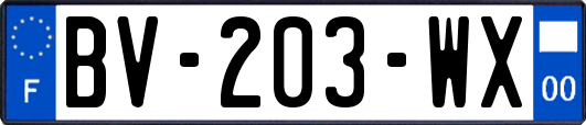 BV-203-WX