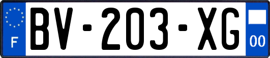 BV-203-XG