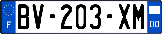 BV-203-XM