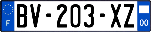 BV-203-XZ