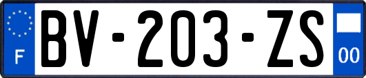 BV-203-ZS