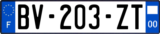 BV-203-ZT