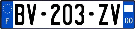 BV-203-ZV