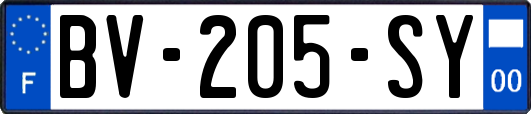 BV-205-SY