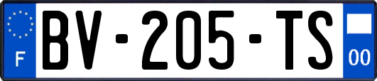 BV-205-TS