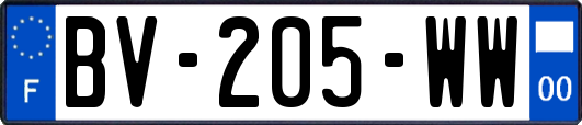 BV-205-WW