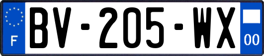 BV-205-WX