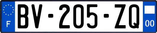 BV-205-ZQ