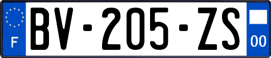 BV-205-ZS