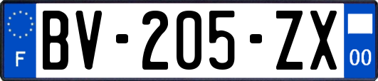 BV-205-ZX