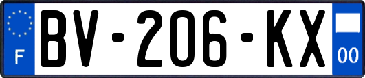BV-206-KX