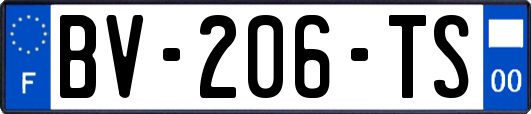 BV-206-TS