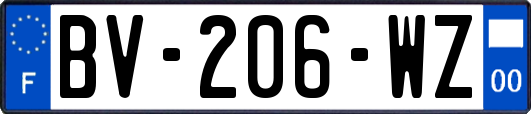 BV-206-WZ