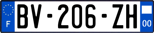 BV-206-ZH