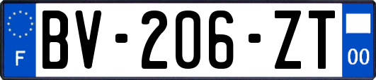 BV-206-ZT