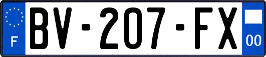 BV-207-FX