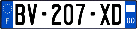 BV-207-XD