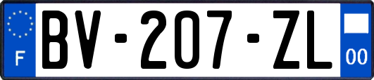 BV-207-ZL