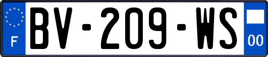 BV-209-WS