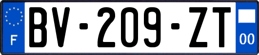 BV-209-ZT