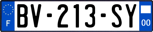 BV-213-SY