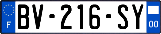 BV-216-SY