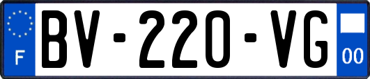 BV-220-VG