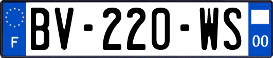 BV-220-WS