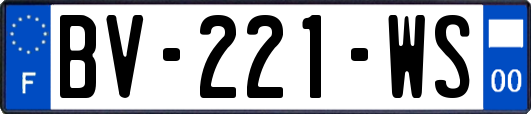 BV-221-WS