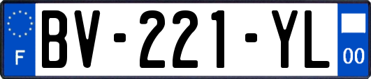 BV-221-YL