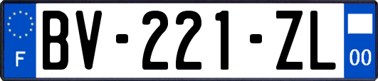 BV-221-ZL