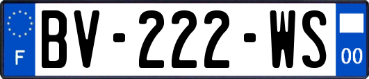 BV-222-WS