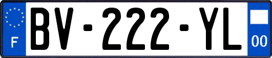 BV-222-YL